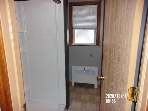 216 E Hamilton Ave, Watseka, IL 60970 photo 11