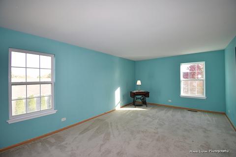 3501 Eileen St, Plano, IL 60545 photo 22