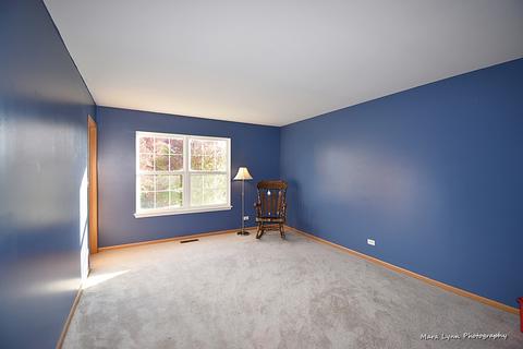 3501 Eileen St, Plano, IL 60545 photo 23