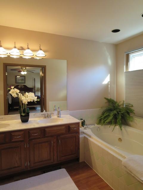 23137 Judith Ct, Plainfield, IL 60586 photo 14