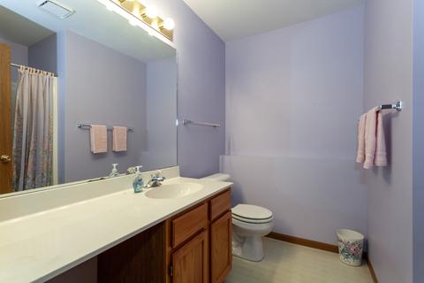 23031 Judith Dr, Plainfield, IL 60586 photo 12