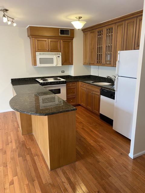 33 E Cedar St #12C, Chicago, IL 60611 photo 3