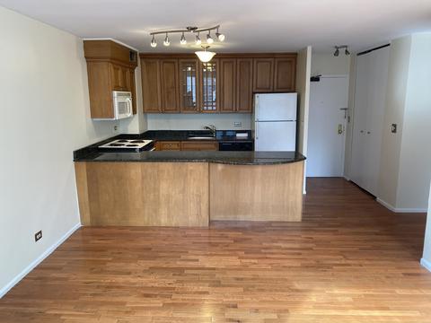 33 E Cedar St #12C, Chicago, IL 60611 photo 4