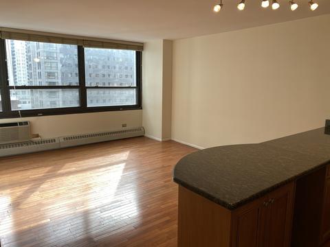 33 E Cedar St #12C, Chicago, IL 60611 photo 6