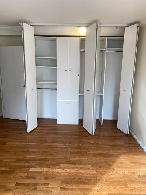 33 E Cedar St #12C, Chicago, IL 60611 photo 14