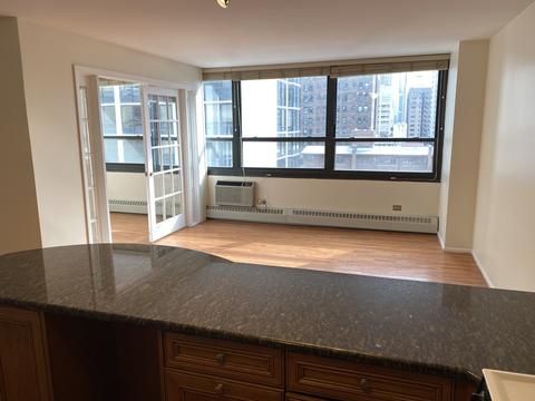 33 E Cedar St #12C, Chicago, IL 60611 photo 7