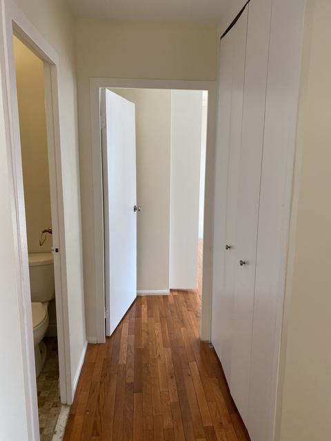 33 E Cedar St #12C, Chicago, IL 60611 photo 12