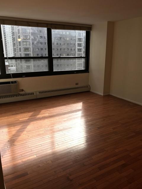 33 E Cedar St #12C, Chicago, IL 60611 photo 13