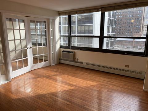 33 E Cedar St #12C, Chicago, IL 60611 photo 11