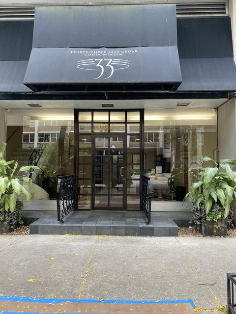 33 E Cedar St #12C, Chicago, IL 60611 photo 1