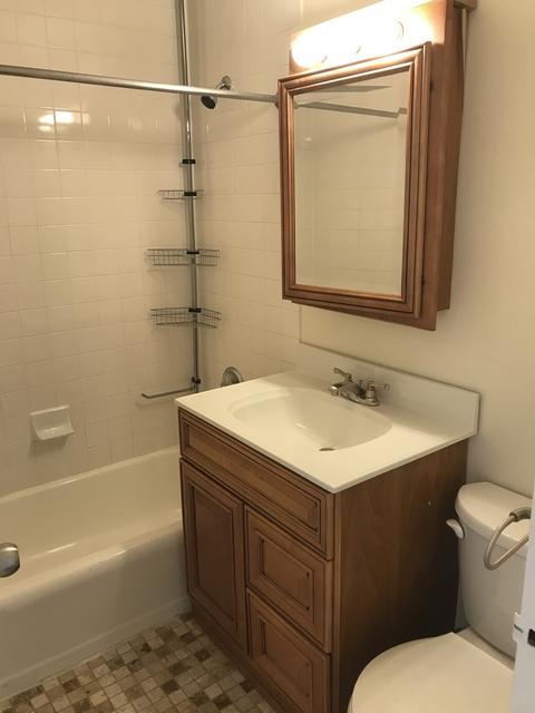 33 E Cedar St #12C, Chicago, IL 60611 photo 8