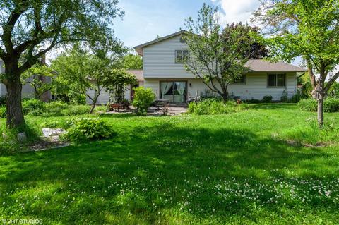 995 Colony Ln, Hoffman Estates, IL 60192 photo 15
