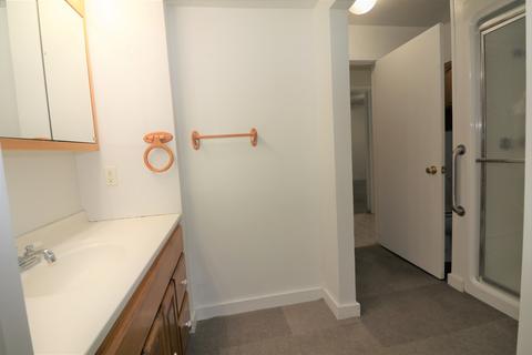 601 Paris St, Dewitt, IL 61735 photo 11