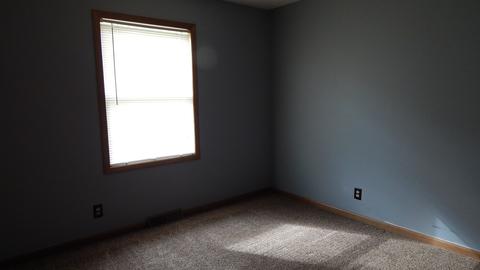 3145 E Danne Rd, Crete, IL 60417 photo 17