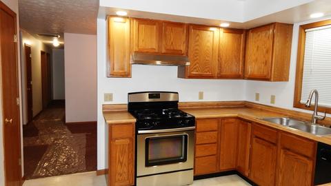 3145 E Danne Rd, Crete, IL 60417 photo 6