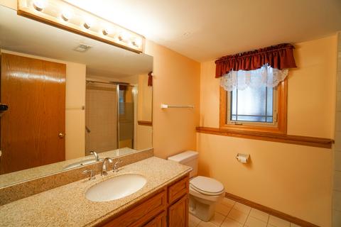 8032 Deer Path, Justice, IL 60458 photo 32