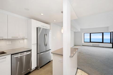 175 E Delaware Pl #5308, Chicago, IL 60611 photo 5