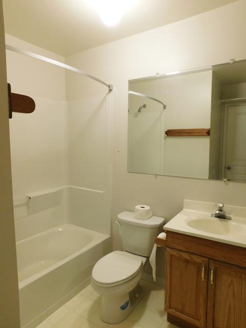 1225 Summersweet Ln, Bartlett, IL 60103 photo 16