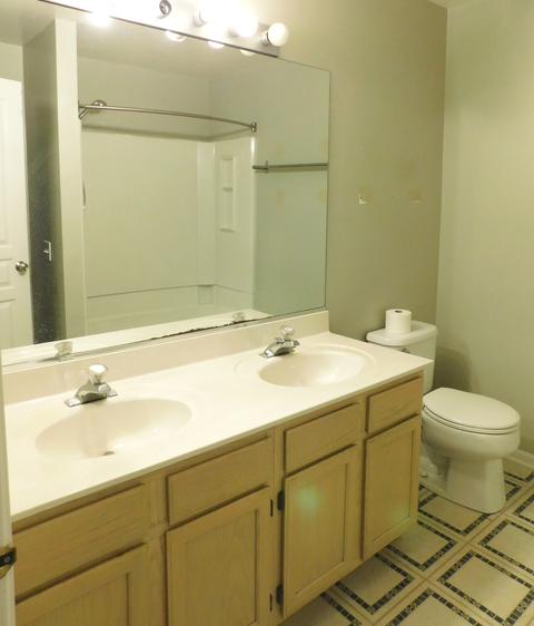 1225 Summersweet Ln, Bartlett, IL 60103 photo 15