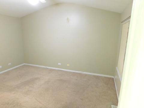 1225 Summersweet Ln, Bartlett, IL 60103 photo 12