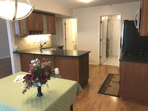 1225 Summersweet Ln, Bartlett, IL 60103 photo 4