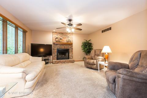 13156 Paula Ct, Plainfield, IL 60585 photo 9