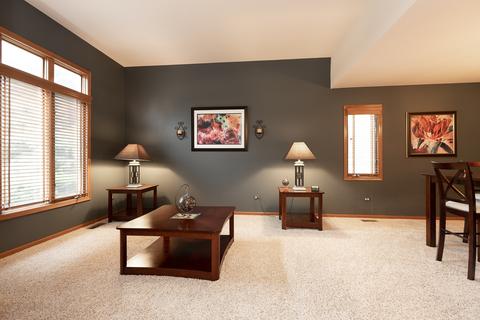 13156 Paula Ct, Plainfield, IL 60585 photo 4