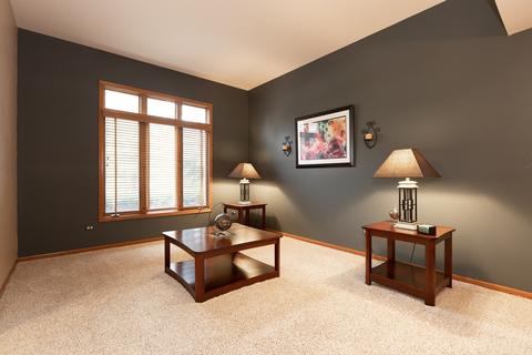 13156 Paula Ct, Plainfield, IL 60585 photo 5