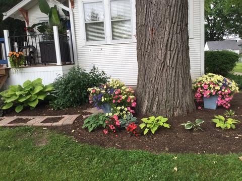 705 Center St, Mchenry, IL 60050 photo 29