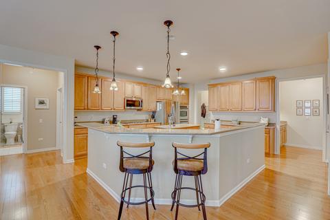 12585 Raintree Path, Huntley, IL 60142 photo 9