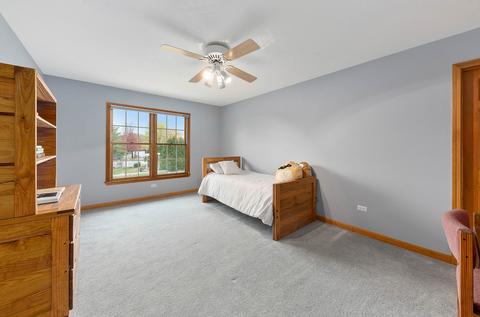 23346 Allen Robert Dr, Plainfield, IL 60544 photo 27