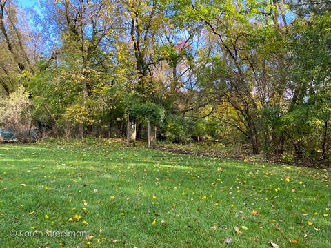 12010 Mohican Dr, Algonquin, IL 60102 photo 25
