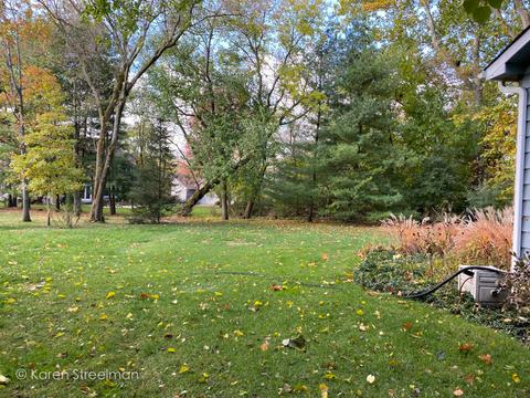 12010 Mohican Dr, Algonquin, IL 60102 photo 26