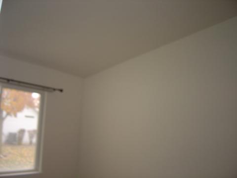 21449 W Juniper Ct, Plainfield, IL 60544 photo 3