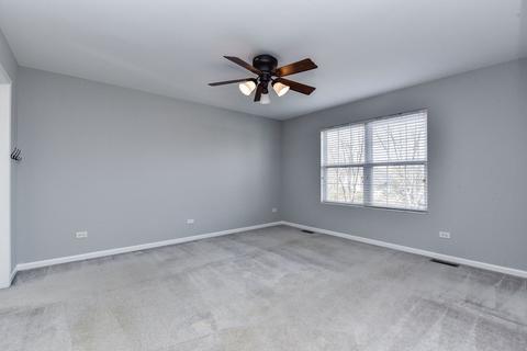 24202 Leski Ln, Plainfield, IL 60585 photo 5