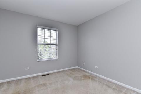 24202 Leski Ln, Plainfield, IL 60585 photo 8