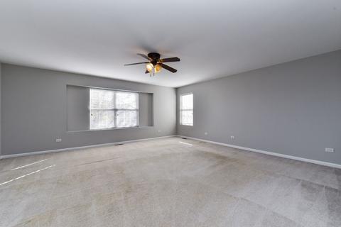 24202 Leski Ln, Plainfield, IL 60585 photo 7