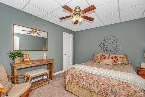 24301 Pine Ridge Dr, Monee, IL 60449 photo 18