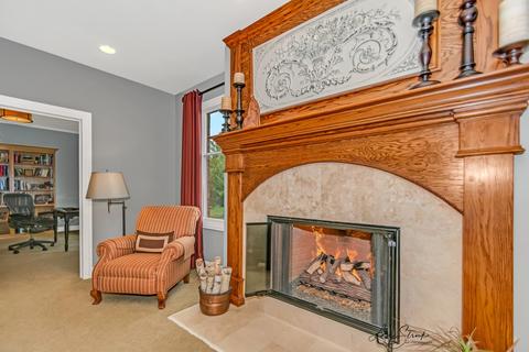 24301 Pine Ridge Dr, Monee, IL 60449 photo 10