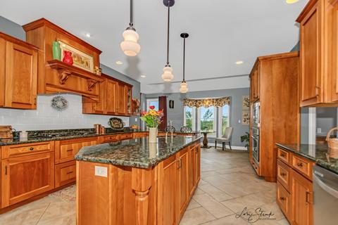 24301 Pine Ridge Dr, Monee, IL 60449 photo 9