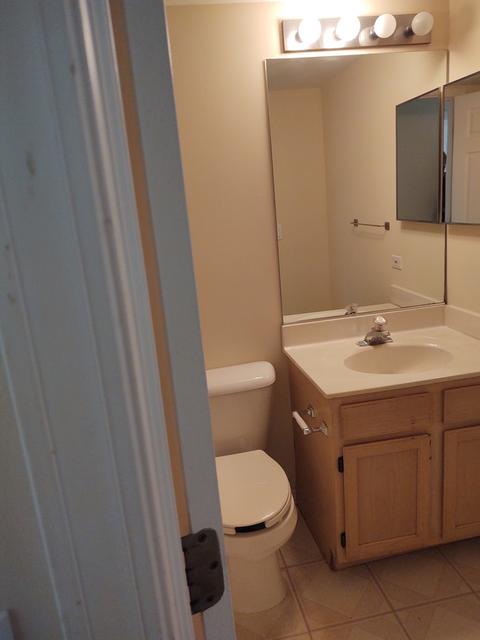 325 Crestview Dr #A, Wauconda, IL 60084 photo 17