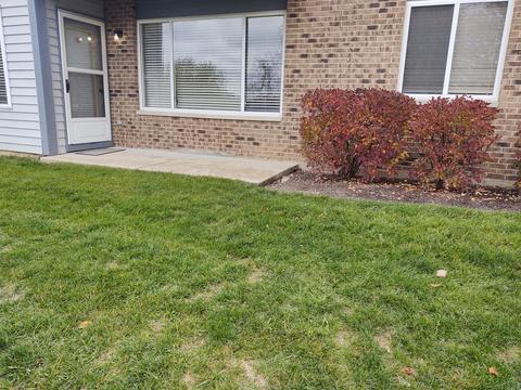 325 Crestview Dr #A, Wauconda, IL 60084 photo 21