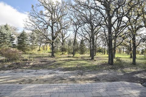 9513 Seeman Rd, Union, IL 60180 photo 21