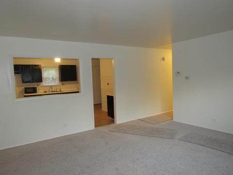 15431 Troy Ave, Markham, IL 60428 photo 5