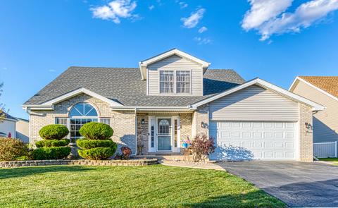 261 Timbers Bluff Trl, Beecher, IL 60401 photo 1