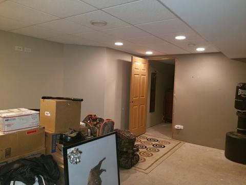261 Timbers Bluff Trl, Beecher, IL 60401 photo 25