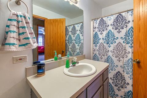 261 Timbers Bluff Trl, Beecher, IL 60401 photo 19