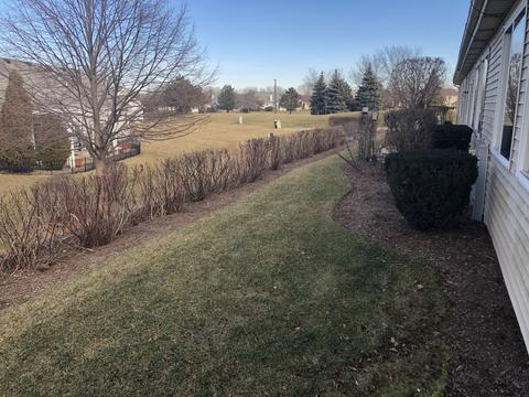 21312 W Conifer Dr, Plainfield, IL 60544 photo 29