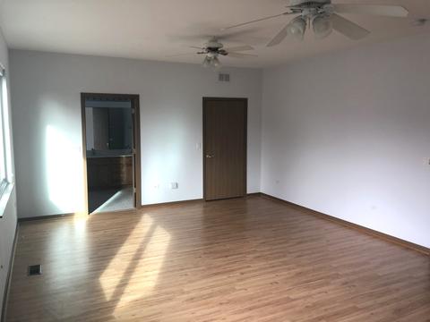 21312 W Conifer Dr, Plainfield, IL 60544 photo 9