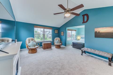23905 Pond View Dr, Plainfield, IL 60585 photo 23